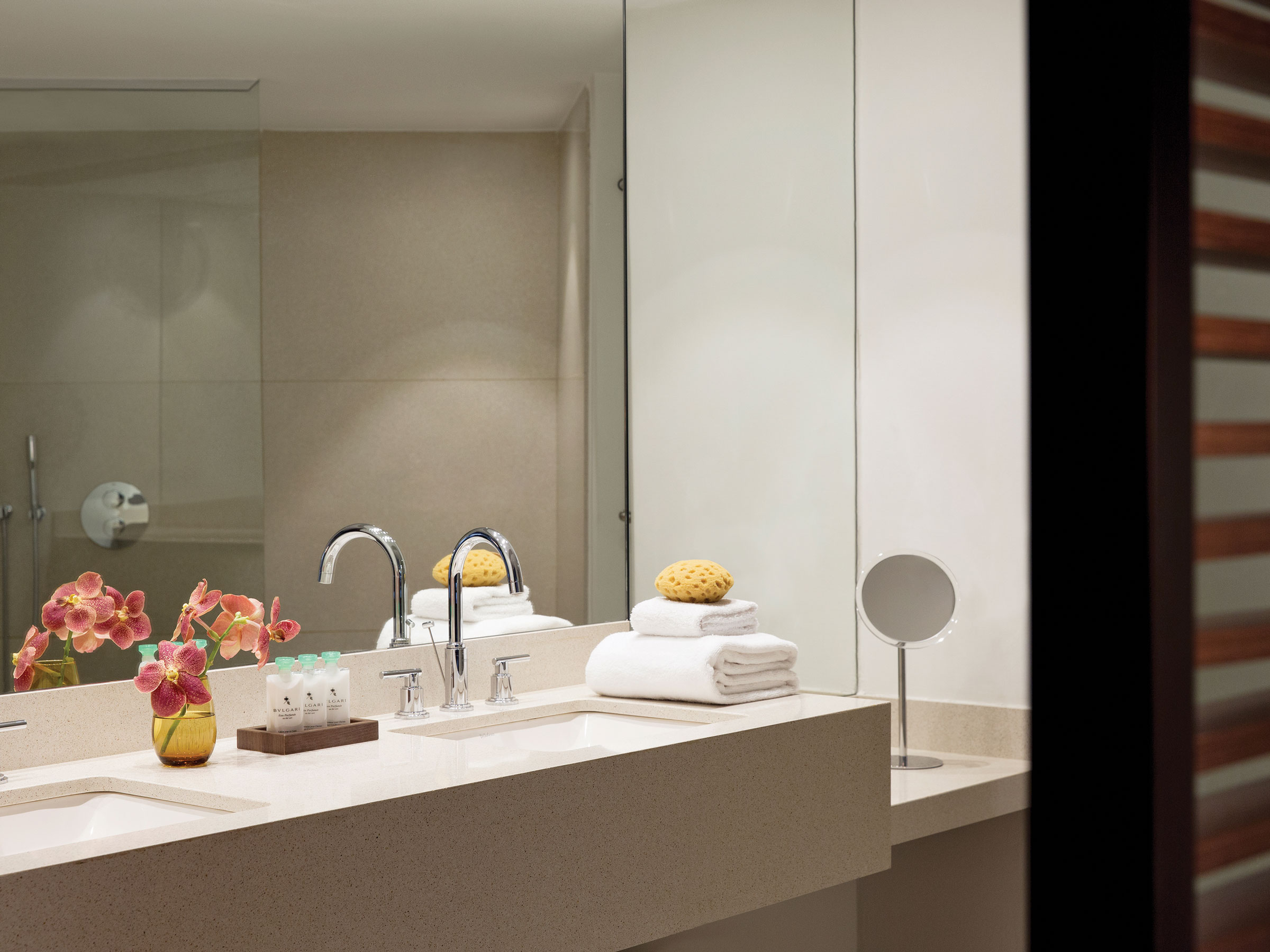 Luxury Suite Bathroom Design