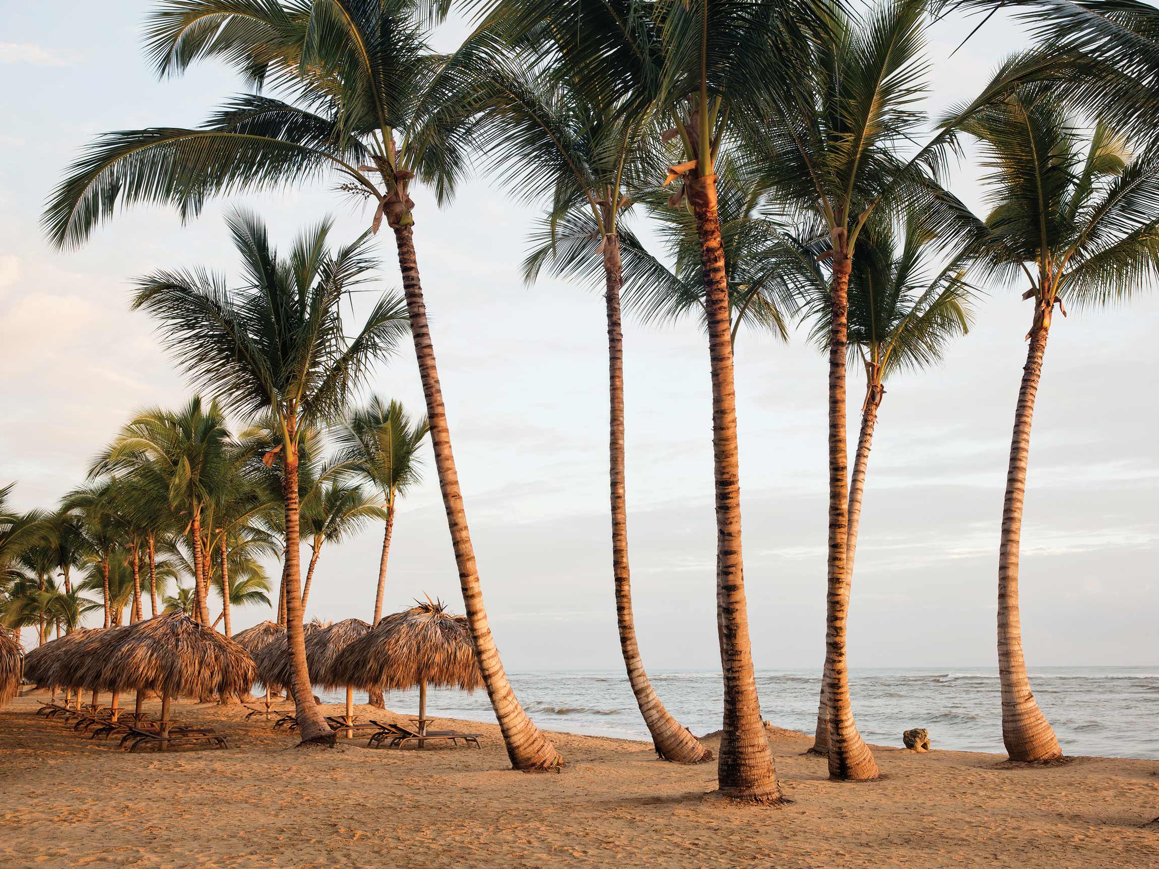 Finest Punta Cana Resort Todo Incluido